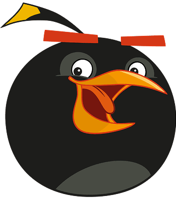Black Bird